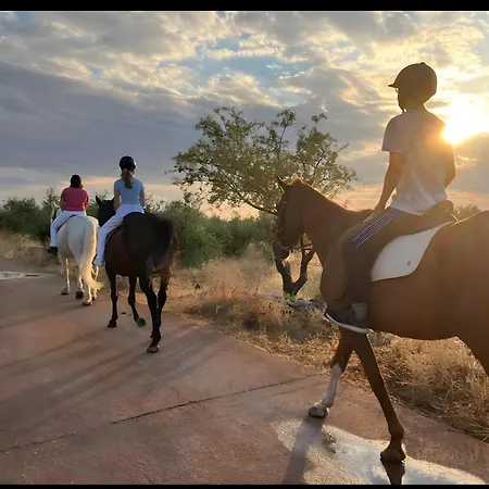 Elements Of Diros Casa de hóspedes
