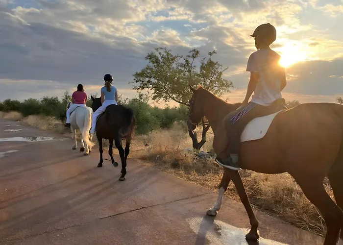 Elements Of Diros Casa de hóspedes